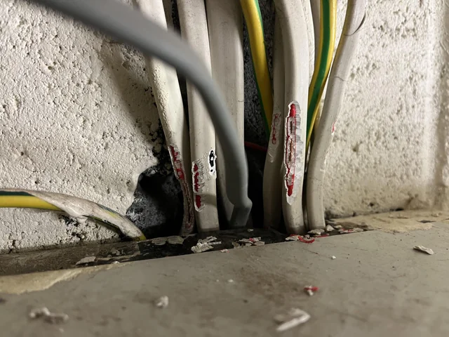 Rodent-Damaged Wiring